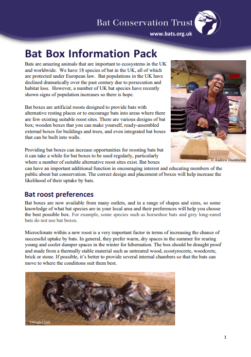 Image of a bat information pack document